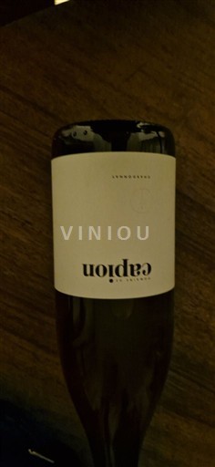 Languedoc Capion 2023