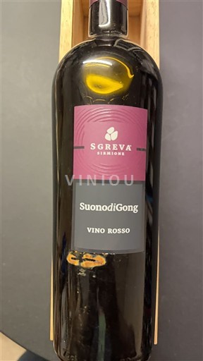 Lombardiet Ikke specificeret Sgreva SuonodiGong 2020