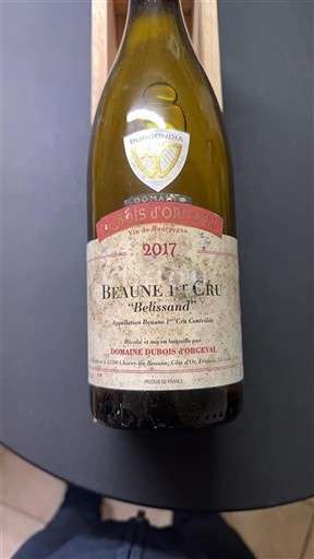 Bourgondië Niet gespecificeerd Premier Cru Domaine Bois-Guyonval Belissand 2017