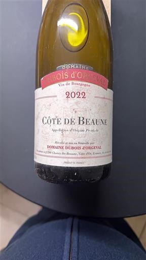 Borgonha Côte-de-Beaune Domaine Bois d'Orgival 2022