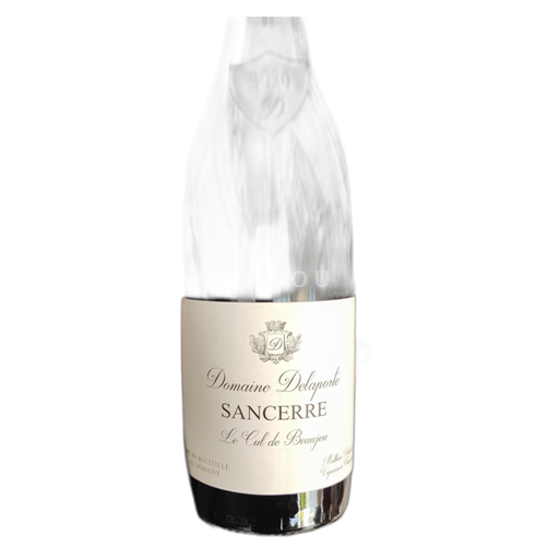 Valle della Loira Sancerre Domaine Delaporte Le Cul de Beaujeu 2020