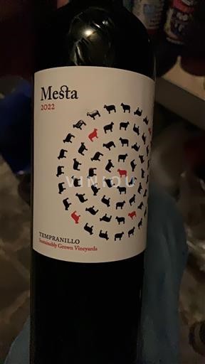 Kastilia-La Mancha Määrittelemätön Mesta 2022