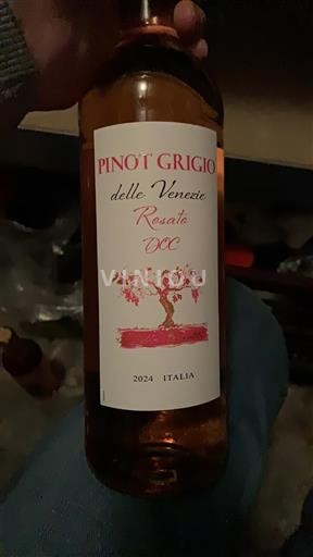 Wines Rosé sec Giulio Pasotti 2024 Italy Veneto Delle Venezie DOC