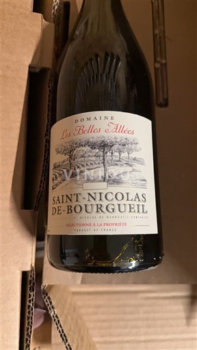 Loiretal Saint-Nicolas-De-Bourgueil Domaine Les Belles Alliées 2024
