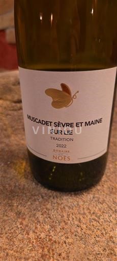 Viner Blanc sec Tradition Domaine La Noé 2022 Frankrike Loiredalen Muscadet-Sèvre-et-Maine AOC