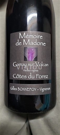 Loiredalen Côtes-du-Forez Mémoire de Madone Gamay sur Volcan Vieilles Vignes 2023