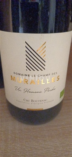 Languedoc Corbières-boutenac Domaine Le Champ des Murailles Un Hameau Perdu 2022