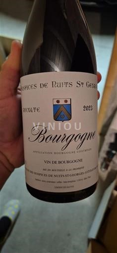 Borgogna Hospices de Nuits-Saint-Georges 2023