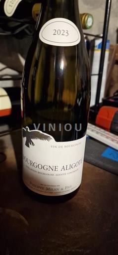 Bourgogne Bourgogne Aligoté Domaine Philippe Milan & Fils 2023