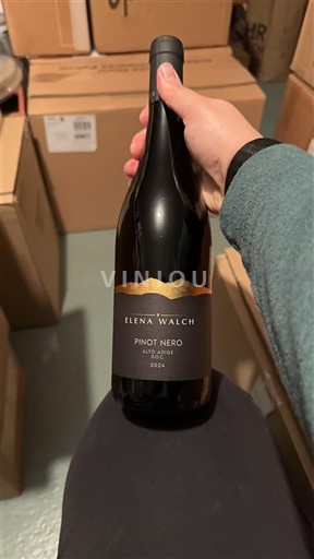 Trentino-Sydtyrol Höga Adige Elena Walch 2024