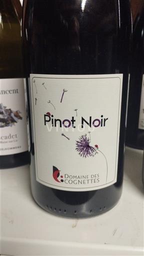 Loirevallei Niet gespecificeerd Domaine S Cognettes Pinot Noir 2024