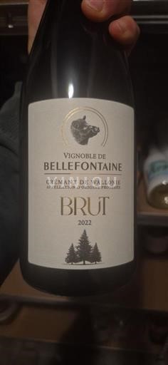 Vallonia Wallonian kuohuviini Vignoble de Bellefontaine 2022