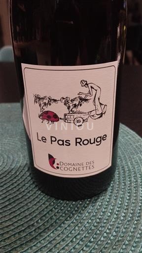 Loirevallei Niet gespecificeerd Domaine Des Cognettes Le Pas Rouge 2024