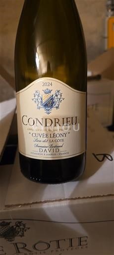 Rhône Valley Condrieu Domaine Pierre-Jean Villa - David Léony 2024