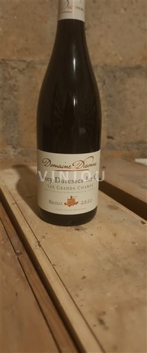 Bourgondië Auxey-Duresses Premier Cru Domaine Diconne Les Grands Champs 2023