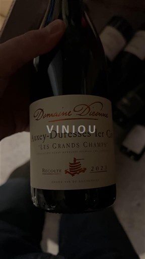 Burgundia Auxey-duresses Premier Cru Domaine Diconne Les Grands Champs 2023