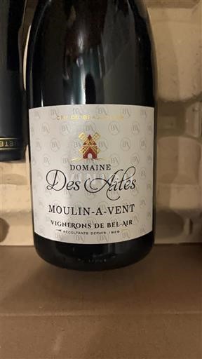 Beaujolais Moulin-à-vent Domaine S Ailes 2023