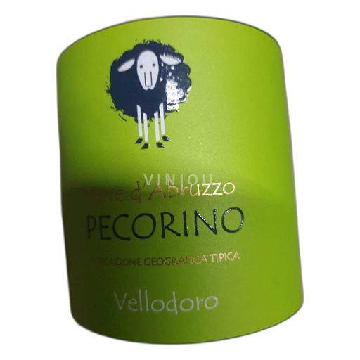 Marke Colli Pesaresi Abruzzo 2024