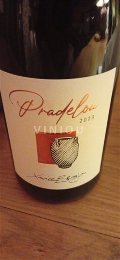 Beaujolais Xavier Braujou Pradelou 2023