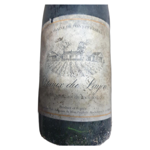 Loire Valley Coteaux du Layon Domaine Pont Perrault 1990