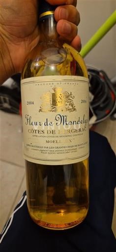 Lounais-Ranska Côtes-de-bergerac Fleur de Mondelys 2004