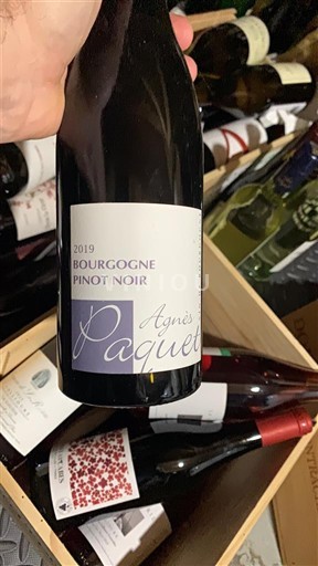 Burgundi Bourgogne Agnès Paquet 2019