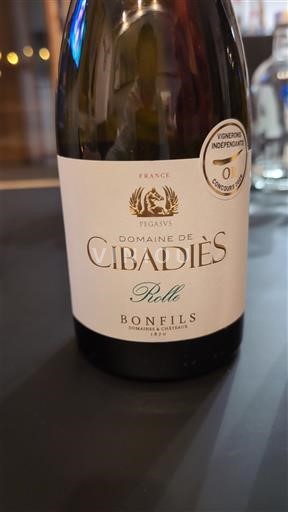 Languedoc y Rosellón Côtes de Thongue Domaine Cibadiès Rolle 2024