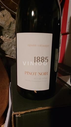 Dolina Loare Vignoble Vitisepoupe 1885 Neleten.