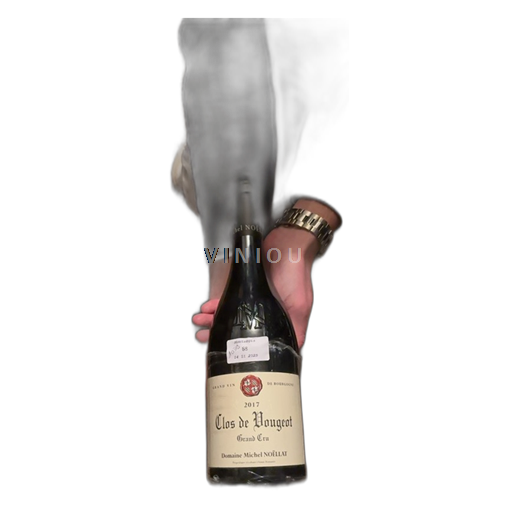 Wijnen Rouge sec Michel Noëllat 2017 Frankrijk Bourgondië Clos-de-vougeot AOC Grand Cru