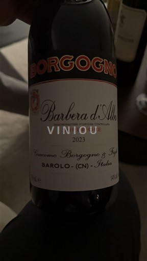 Piemonte Barbera d'Alba Borgogno Superiore 2023