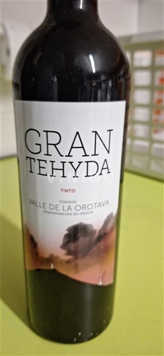Kanarische Inseln Valle de la Orotava Gran Tehyda 2020