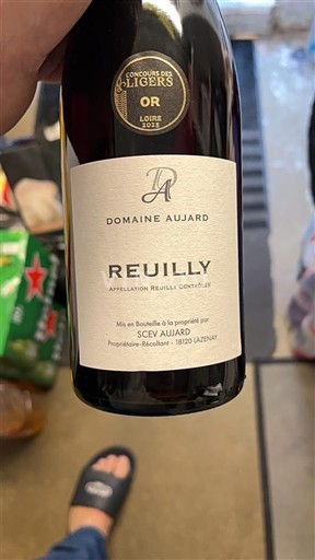 Vale do Loire Reuilly Domaine Aujard 2024