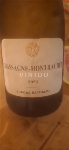 Bourgogne Chassagne-montrachet Aurore Bachelet 2023
