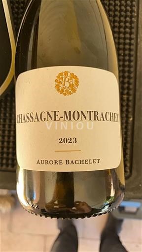 Bourgogne Chassagne-Montrachet Aurore Bachelet 2023