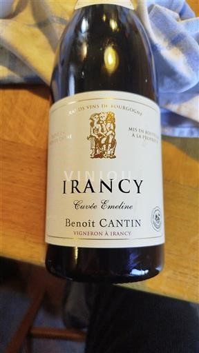 Bourgogne Irancy Benoît Cantin Emeline 2021