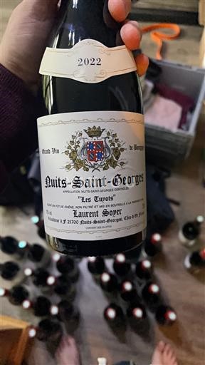 Burgundija Nuits-Saint-Georges Laurent Soyer Les Tuyots 2022
