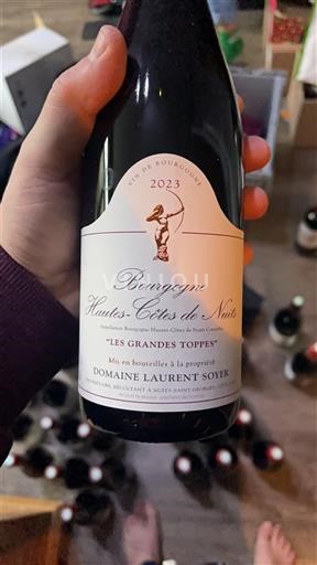 Burgundija Ni doloceno Domaine Laurent Soyer Les Grandes Toppes 2023