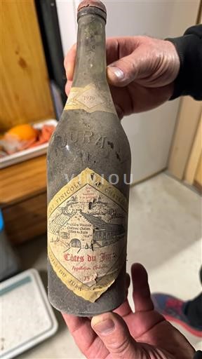 Jura Côtes-do-jura Château Quintigny 1979