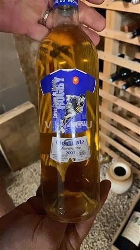 Jihozápad Jurançon Clos L'Esté 2003