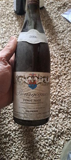 Bourgondië Bourgogne Guy Pierre 2006