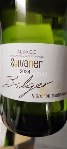 Alsace Bilger 2024