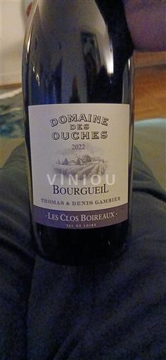 Loiren laakso Bourgueil Domaine S Ouches Les Clos Boireaux 2022