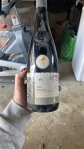 Viner Rouge sec Domaine Haut Bourg 2021 Frankrike Loiredalen Anjou AOC
