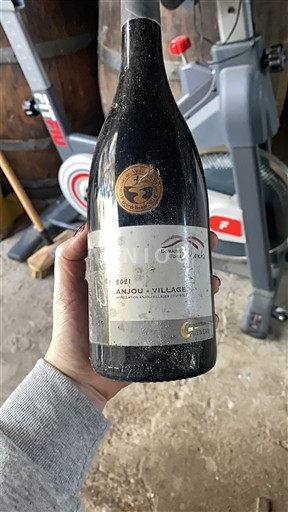 Loire Valley Anjou Villages Domaine La Gauterie 2021