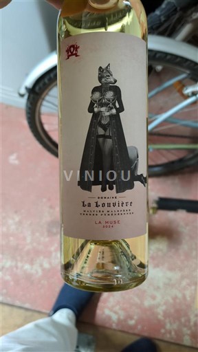 Languedoc Malepère Domaine La Louvière La Muse 2024