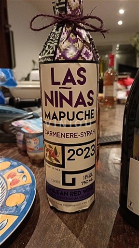 Rapel Valley Colchagua Valley Las Niñas Mapuche 2023