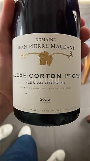 Burgundy Unspecified Premier Cru Domaine Jean-Pierre Maldant Les Valozières 2022