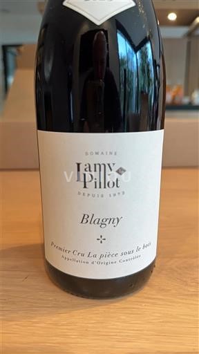 Bourgogne Blagny Premier Cru Domaine Lamy-Pillot Premier Cru La pièce sous le bois 2023