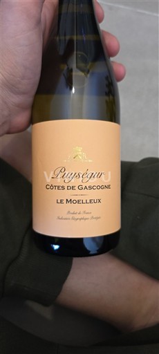Jihozápad Côtes de Gascogne Puységur Le Moelleux Neročník