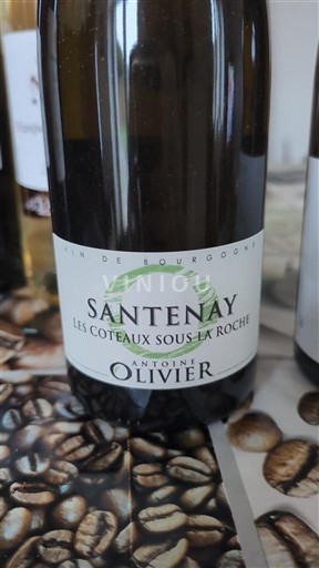 Burgundy Santenay Antoine Olivier Les Coteaux sous la Roche 2015